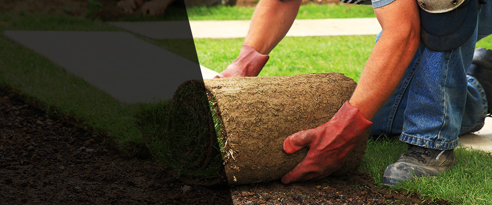 Zionhill Landscapers